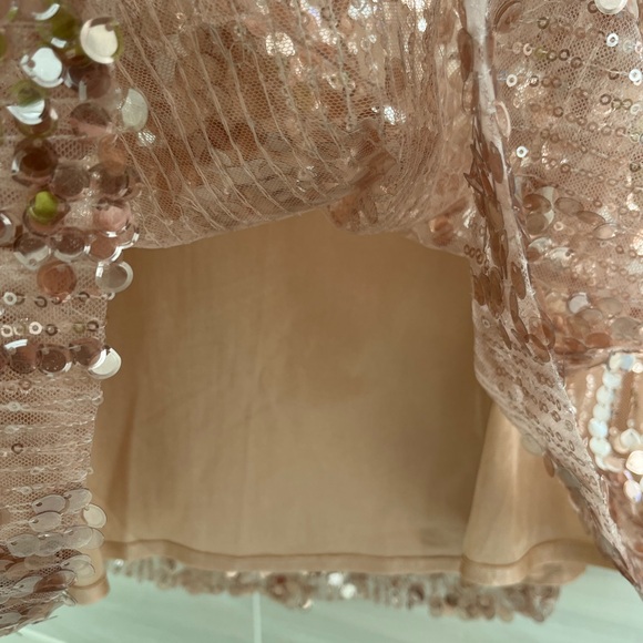 Zara Medium Pinkish Bronze Sequinned Midi Skirt - Picture 9 of 13